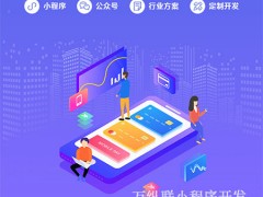 制作手机小程序开发后，变现难吗？