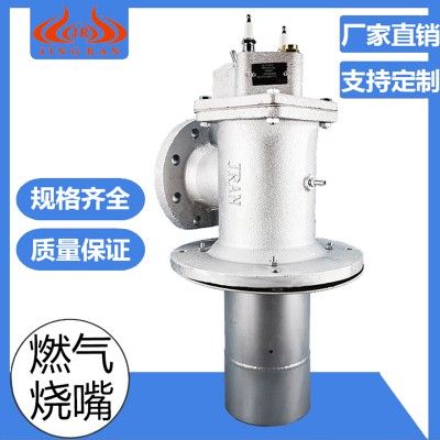 轧钢加热炉烧嘴 热处理炉烧嘴燃烧系统 精燃机电