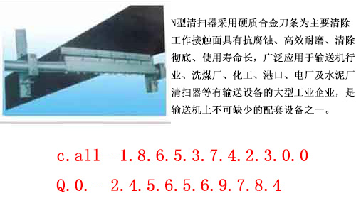 N型可逆清扫器B-1000 双排刮板的可逆清扫器