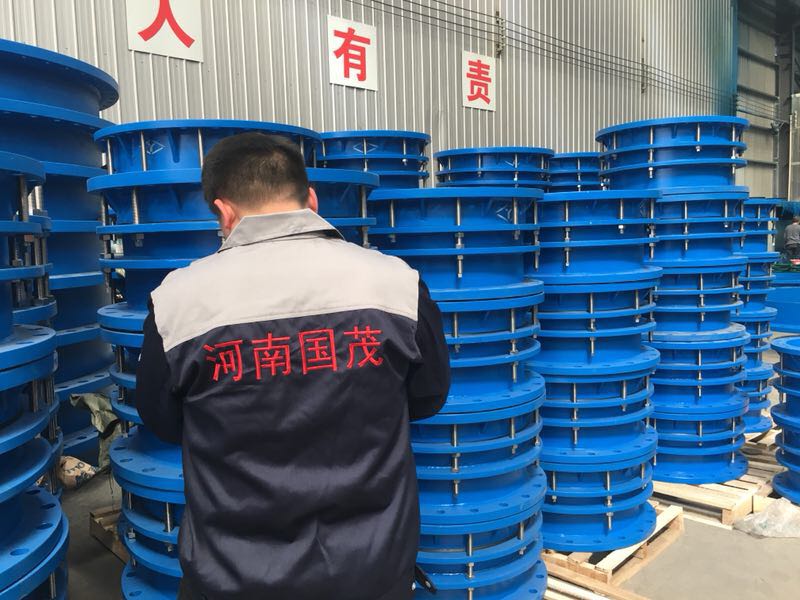 双法兰伸缩接头