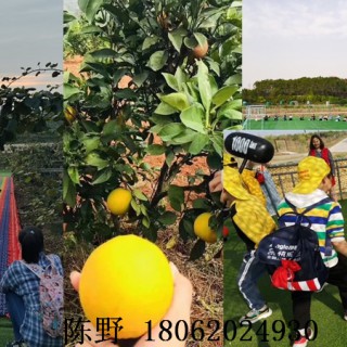 精打细算的武汉公司年会四种模式值得爆赞，来刷新视角！