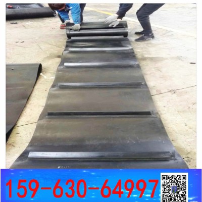 自卸除铁器环形带 悬挂除铁器拆卸皮带b-800