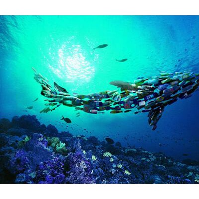2023上海生物降解材料展览会