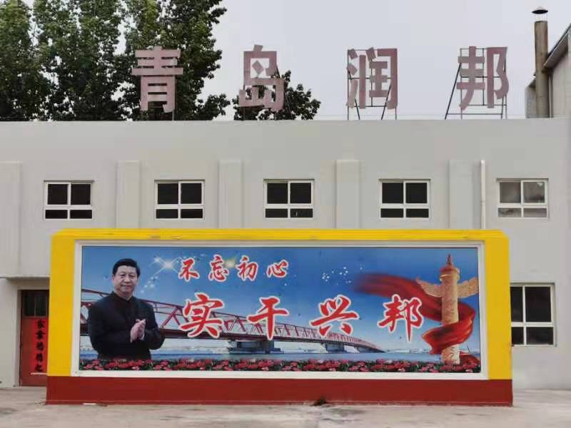 JBS环保型桥梁防水涂料