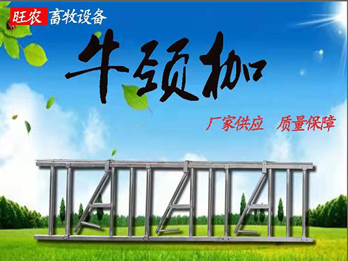 牛颈枷