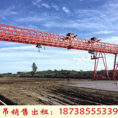 辽宁沈阳龙门吊出租厂家维护保养门式起重机