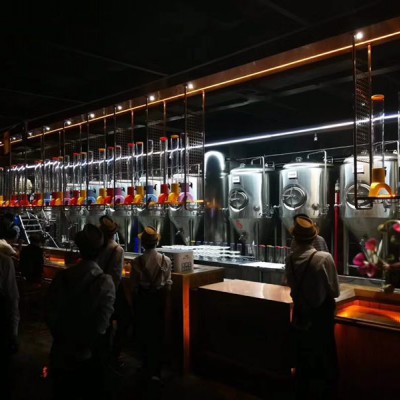 啤酒加工设备 国内精酿啤酒设备工厂山东啤酒设备